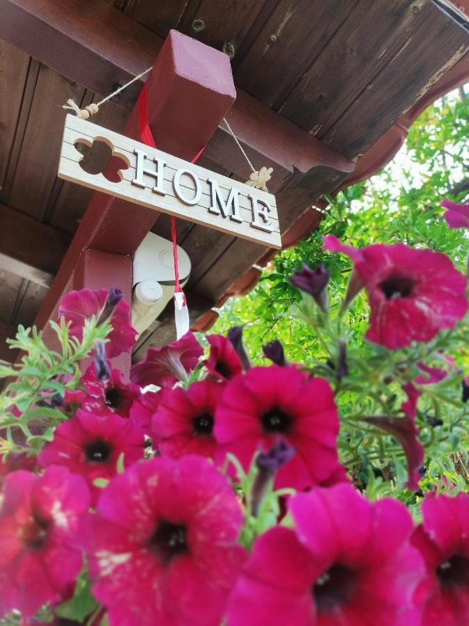 Apartment Ntina Kastraki (Trikala)